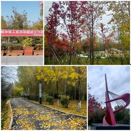 桦南县澜亭水汇最新爆料,揭秘神秘项目背后的真相!” 第3张 桦南县澜亭水汇最新爆料,揭秘神秘项目背后的真相!” 第3张